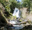 Corcovado National Park