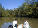 The mangroves of the rivers Sierpe and Terraba 